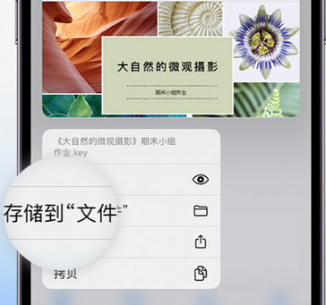 怀来apple维修中心分享iPhone文件应用中存储和找到下载文件