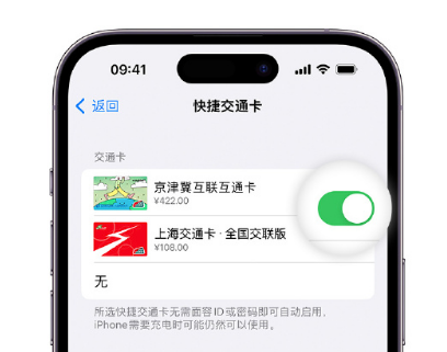 怀来apple维修点分享iPhone上更换Apple Pay快捷交通卡手绘卡面 