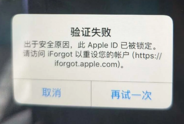 怀来iPhone维修分享iPhone上正常登录或使用AppleID怎么办 