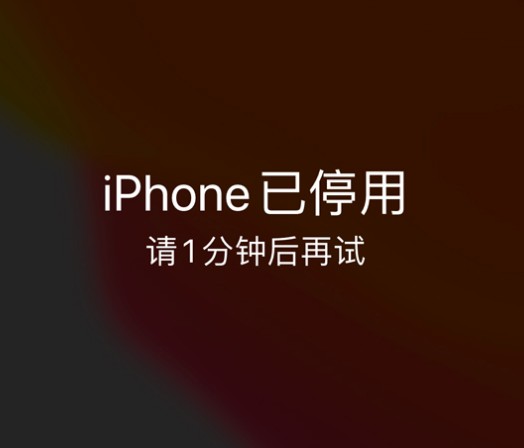 怀来苹果手机维修分享:iPhone 显示“不可用”或“已停用”怎么办？还能保留数据吗？ 