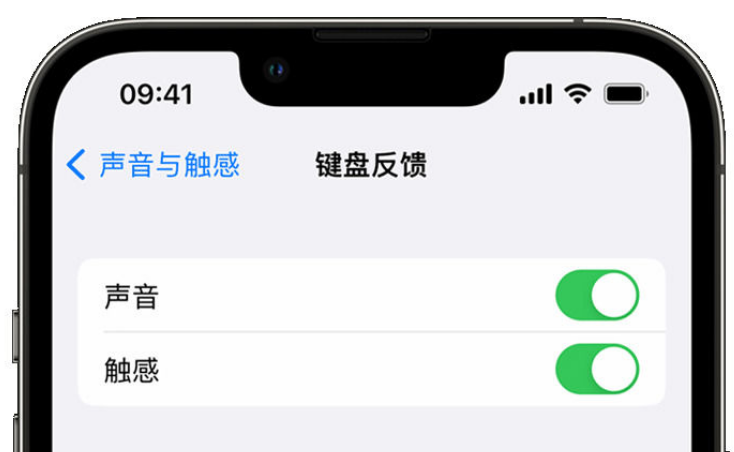 怀来苹果手机维修分享iPhone 14触感键盘使用方法 