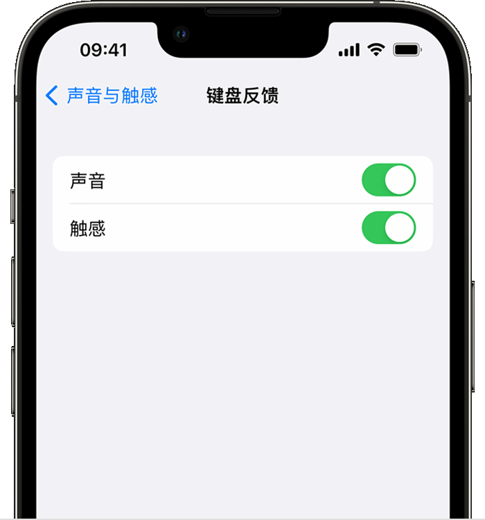 怀来苹果14维修店分享如何在 iPhone 14 机型中使用触感键盘 