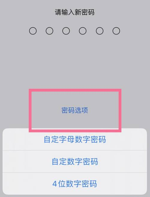 怀来苹果14维修分享iPhone 14plus设置密码的方法 