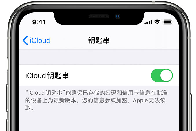 怀来苹果手机维修分享在 iPhone 上开启 iCloud 钥匙串之后会储存哪些信息 