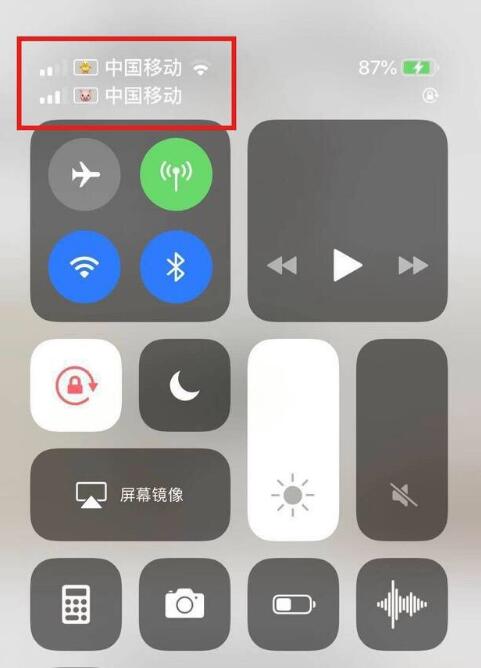 怀来苹果手机维修分享为 iPhone 12 双卡设置标签 